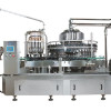 Auto Bottle Filler-Screw-Capper